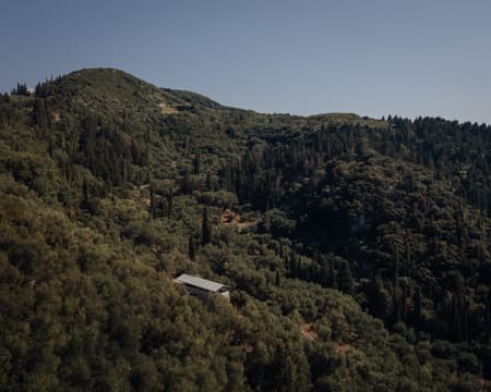 House in an Olive Grove